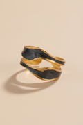 Gold and black ring on a beige background