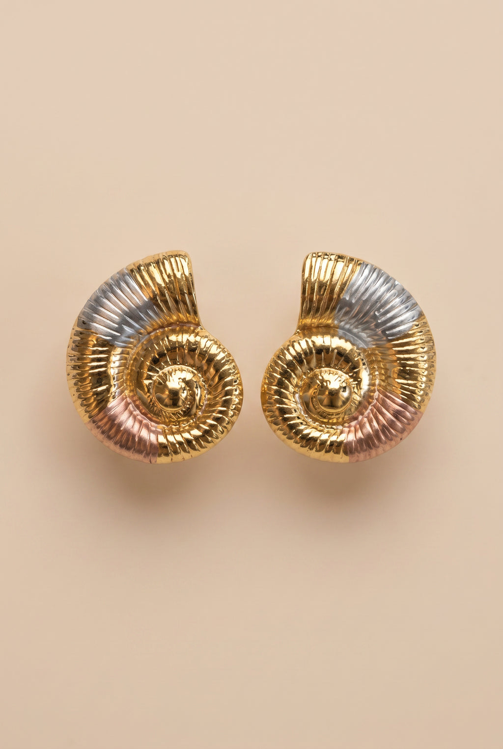 NAUTILA SHELL EARRINGS