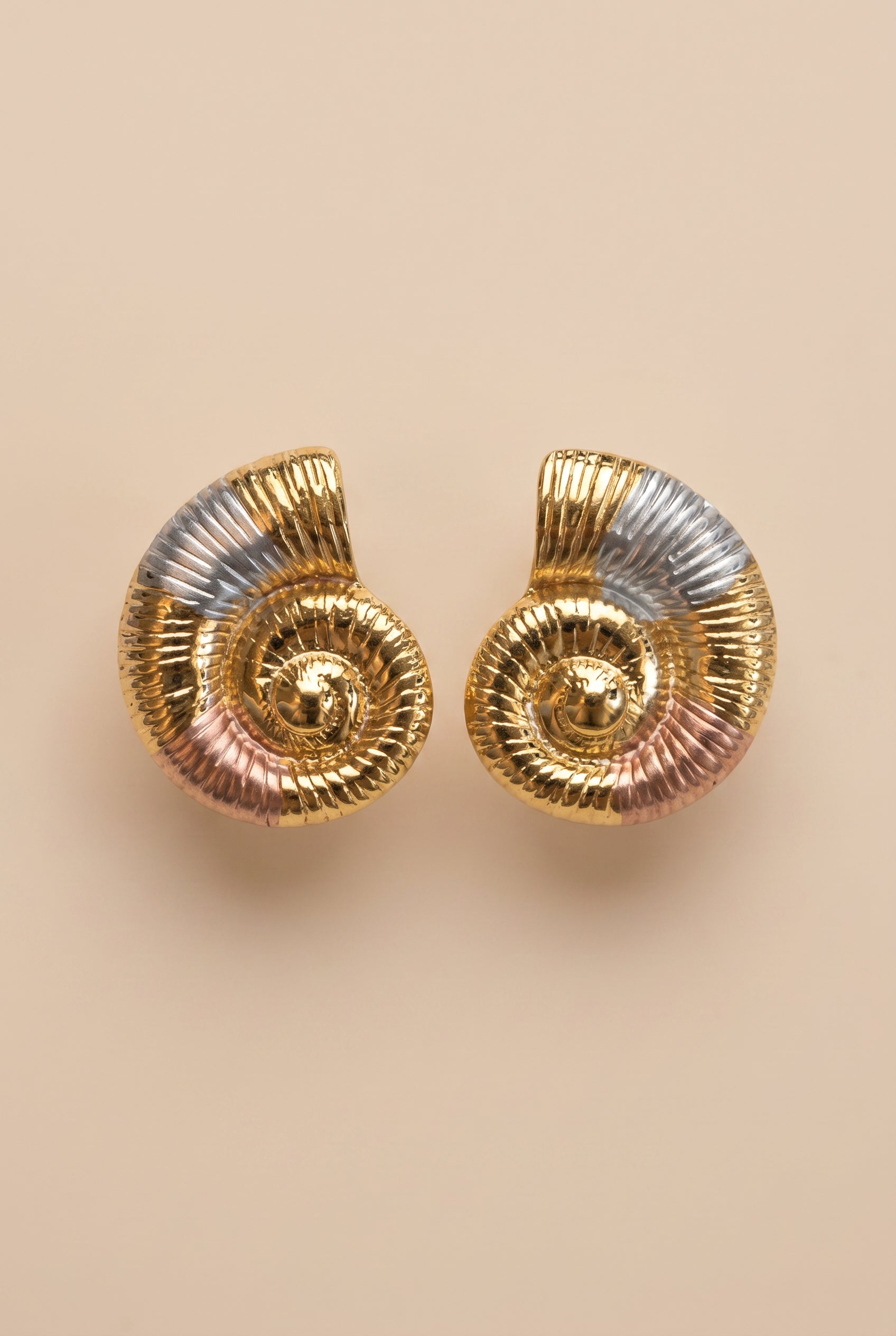 NAUTILA SHELL EARRINGS
